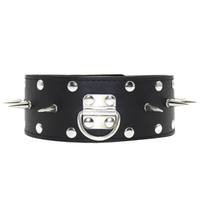 Spiked Leather Collar With Leash